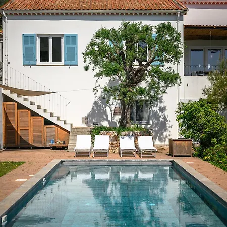 Shangrila, Charming House With Sea View, Swimming Pool And Garden Nr Monaco And Italy *