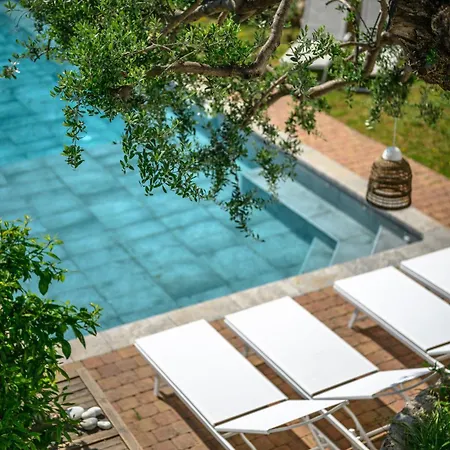 Shangrila, Charming House With Sea View, Swimming Pool And Garden Nr Monaco And Italy Roquebrune-Cap-Martin