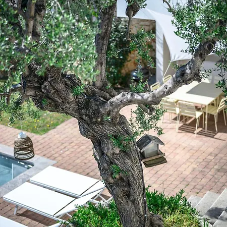 Shangrila, Charming House With Sea View, Swimming Pool And Garden Nr Monaco And Italy Villa Roquebrune-Cap-Martin